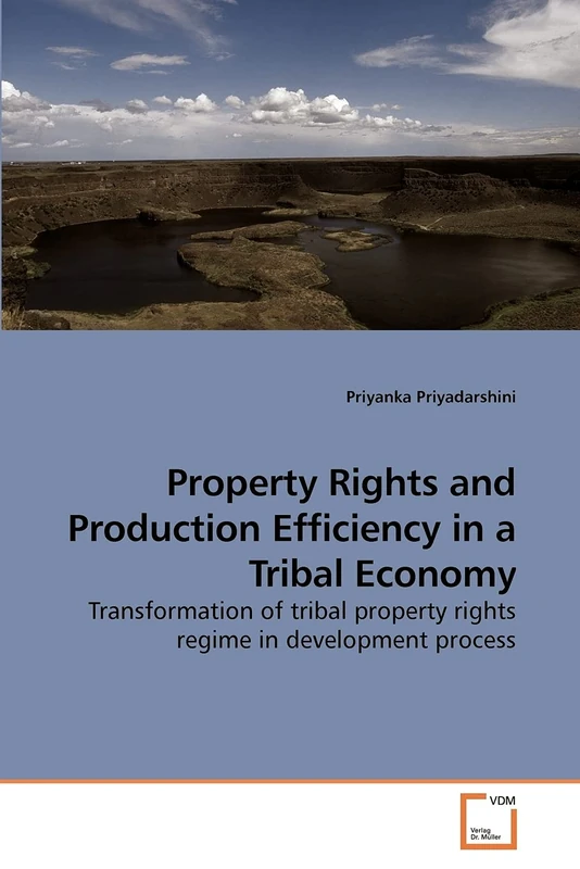 Property Rights and Production Efficiency in a Tribal Economy: Transformation of tribal property rights regime in development process