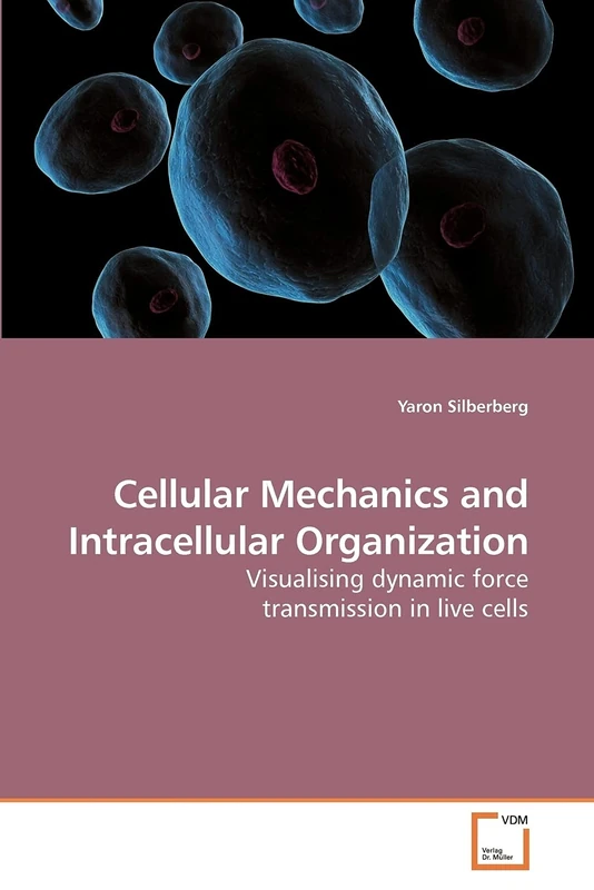 Cellular Mechanics and Intracellular Organization: Visualising dynamic force transmission in live cells