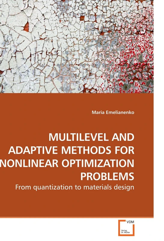 MULTILEVEL AND ADAPTIVE METHODS FOR NONLINEAR OPTIMIZATION PROBLEMS: From quantization to materials design - Image 1
