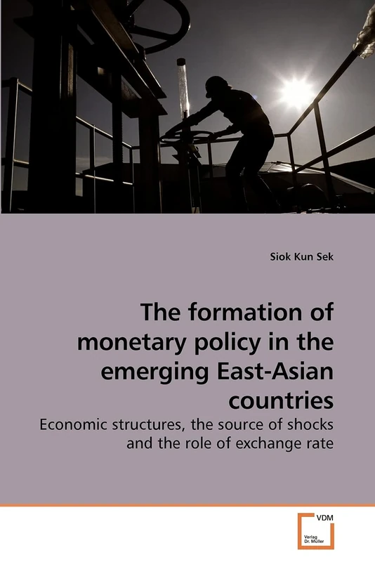 The formation of monetary policy in the emerging East-Asian countries: Economic structures, the source of shocks and the role of exchange rate