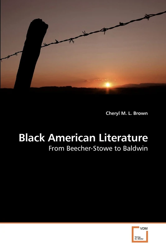 Black American Literature: From Beecher-Stowe to Baldwin