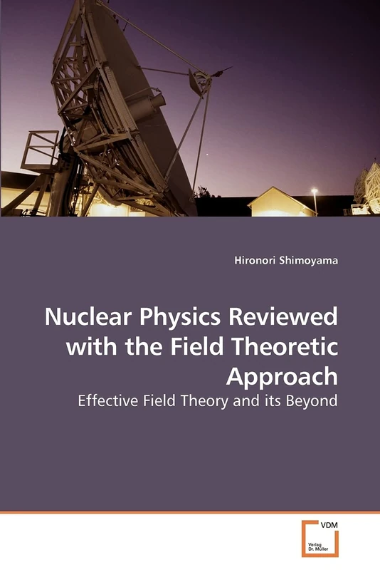 Nuclear Physics Reviewed with the Field Theoretic Approach: Effective Field Theory and its Beyond