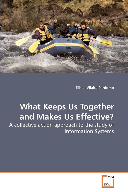 What Keeps Us Together and Makes Us Effective?: A collective action approach to the study of information Systems