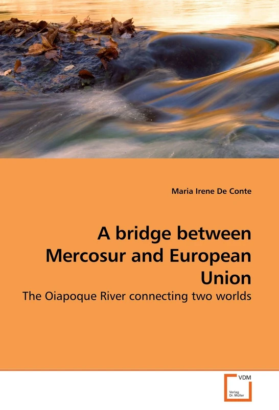 A bridge between Mercosur and European Union: The Oiapoque River connecting two worlds - Image 1