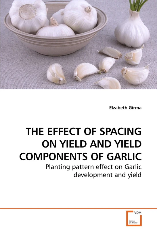 THE EFFECT OF SPACING ON YIELD AND YIELD COMPONENTS OF GARLIC: Planting pattern effect on Garlic development and yield
