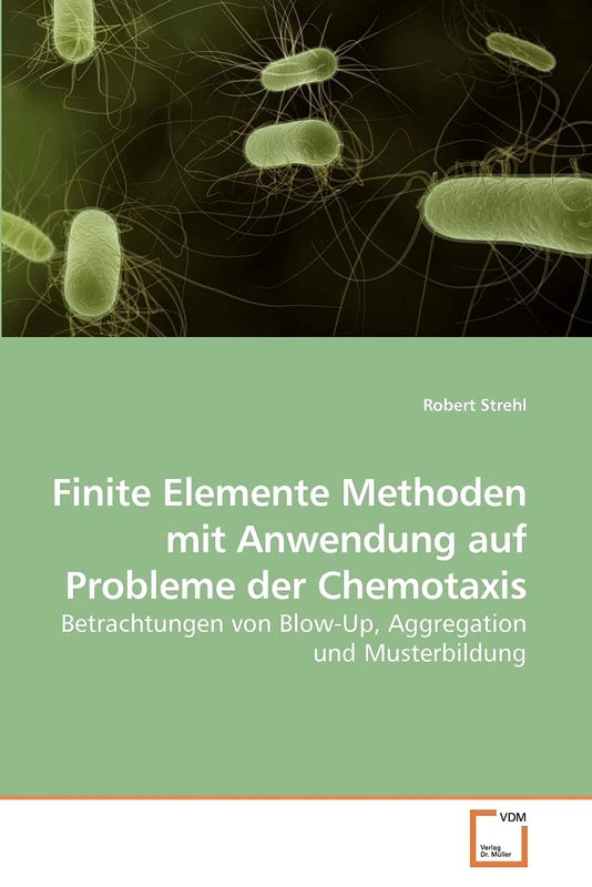 Finite Elemente Methoden mit Anwendung auf Probleme der Chemotaxis: Betrachtungen von Blow-Up, Aggregation und Musterbildung