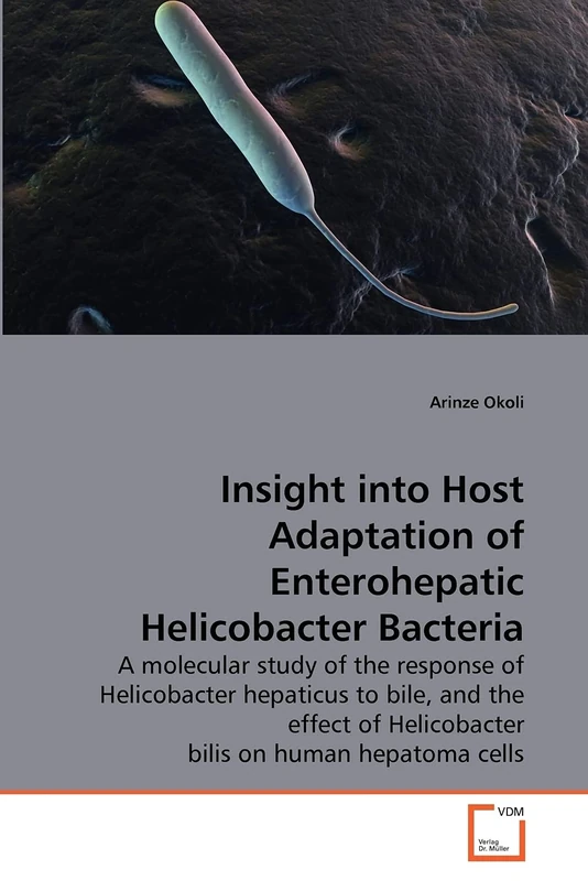 Insight into Host Adaptation of Enterohepatic Helicobacter Bacteria: A molecular study of the response of Helicobacter hepaticus to bile, and the effect of Helicobacter bilis on human hepatoma cells