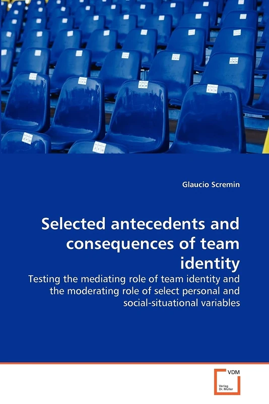 Selected antecedents and consequences of team identity: Testing the mediating role of team identity and the moderating role of select personal and social-situational variables - Image 1