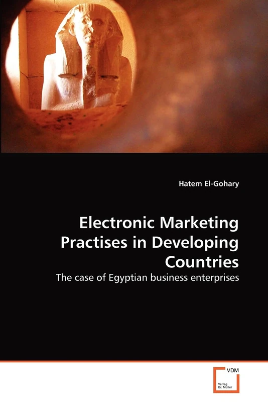 Electronic Marketing Practises in Developing Countries: The case of Egyptian business enterprises