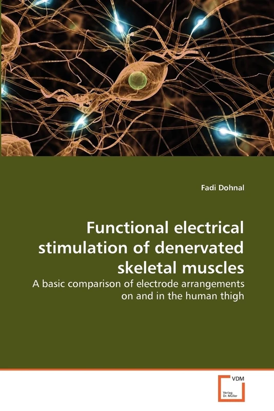 Functional electrical stimulation of denervated skeletal muscles: A basic comparison of electrode arrangements on and in the human thigh