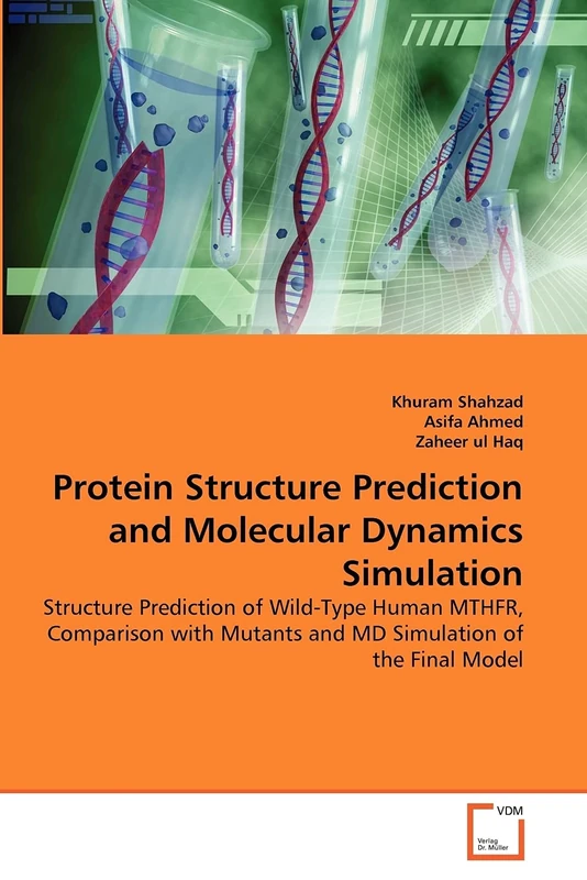 Protein Structure Prediction and Molecular Dynamics Simulation: Structure Prediction of Wild-Type Human MTHFR, Comparison with Mutants and MD Simulation of the Final Model