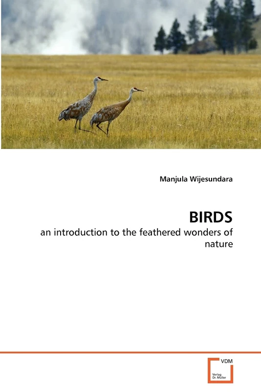 BIRDS: an introduction to the feathered wonders of nature