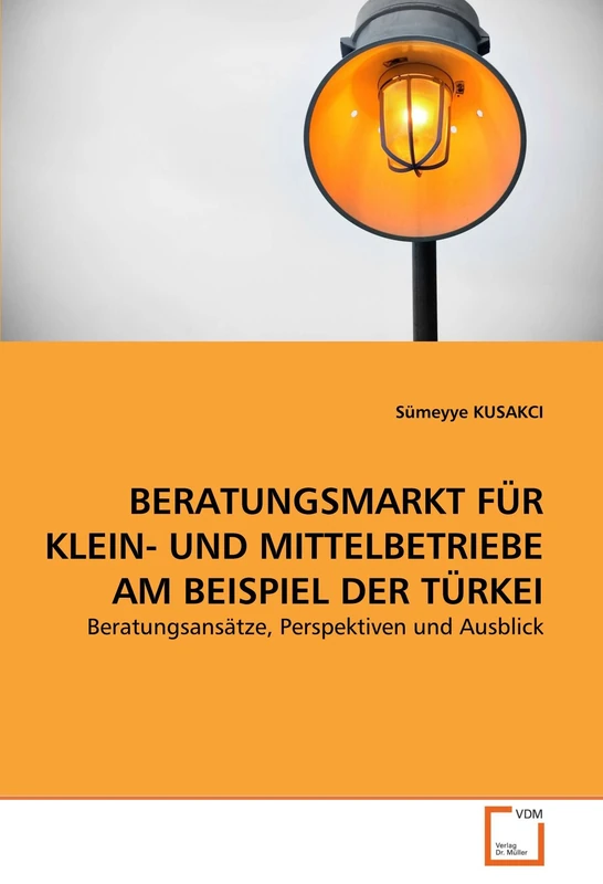 BERATUNGSMARKT FÜR KLEIN- UND MITTELBETRIEBE AM BEISPIEL DER TÜRKEI: Beratungsansätze, Perspektiven und Ausblick