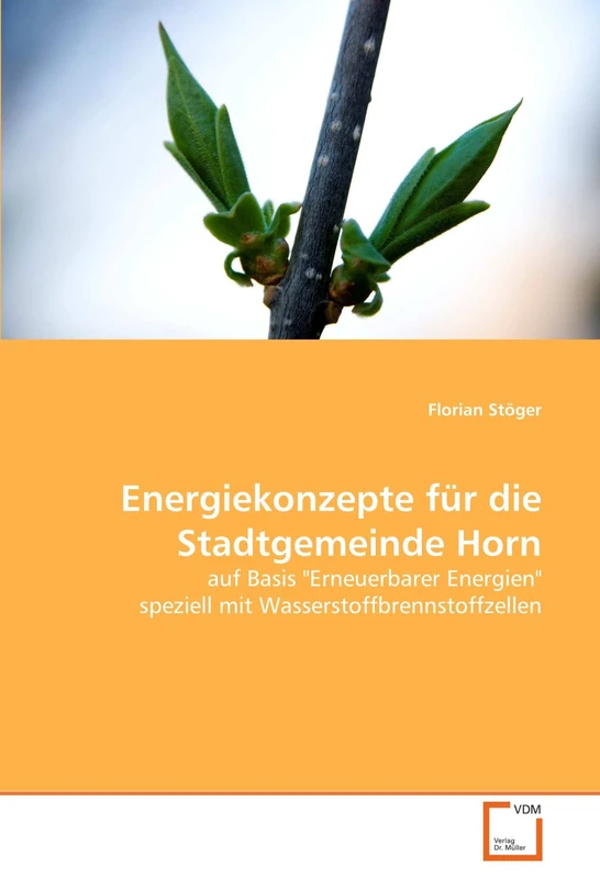 Energiekonzepte für die Stadtgemeinde Horn: auf Basis "Erneuerbarer Energien" speziell mit Wasserstoffbrennstoffzellen