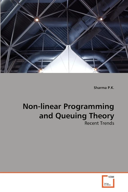 Non-linear Programming and Queuing Theory: Recent Trends - Image 1
