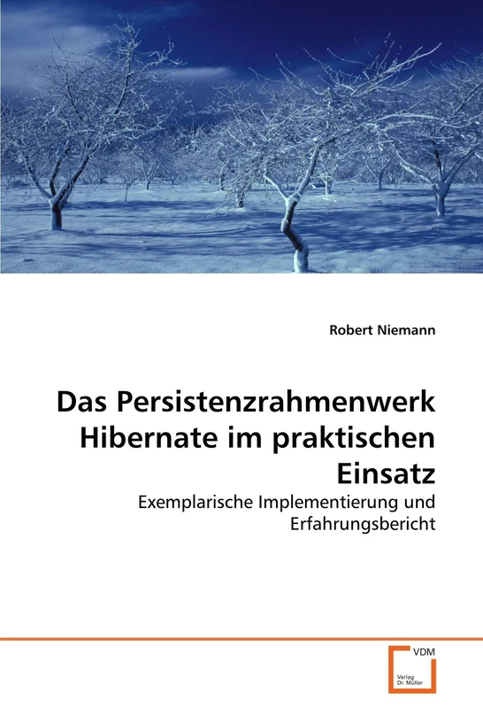 Das Persistenzrahmenwerk Hibernate im praktischen Einsatz: Exemplarische Implementierung und Erfahrungsbericht - Image 1