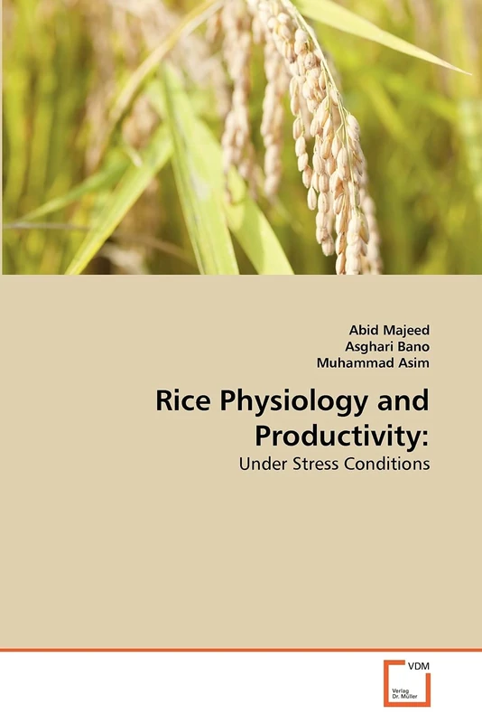 Rice Physiology and Productivity:: Under Stress Conditions - Image 1