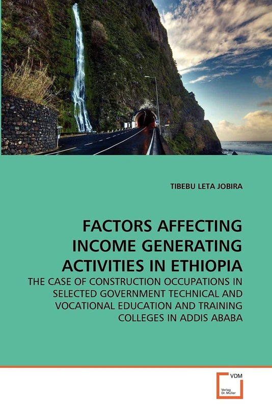 FACTORS AFFECTING INCOME GENERATING ACTIVITIES IN ETHIOPIA: THE CASE OF CONSTRUCTION OCCUPATIONS IN SELECTED GOVERNMENT TECHNICAL AND VOCATIONAL EDUCATION AND TRAINING COLLEGES IN ADDIS ABABA