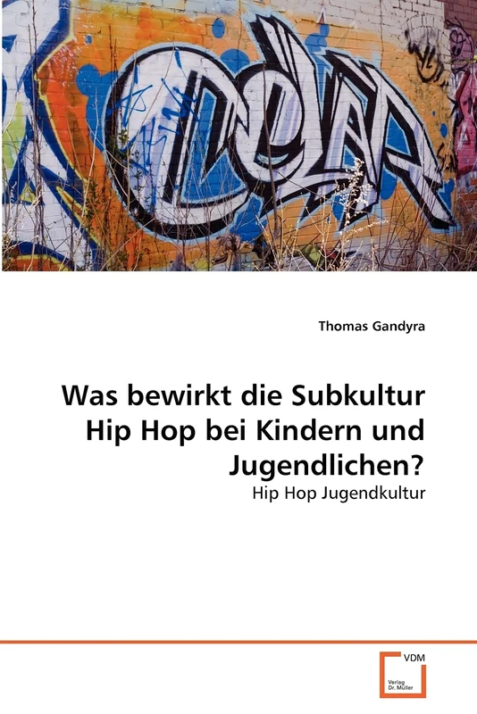 Was bewirkt die Subkultur Hip Hop bei Kindern und Jugendlichen?: Hip Hop Jugendkultur - Image 1