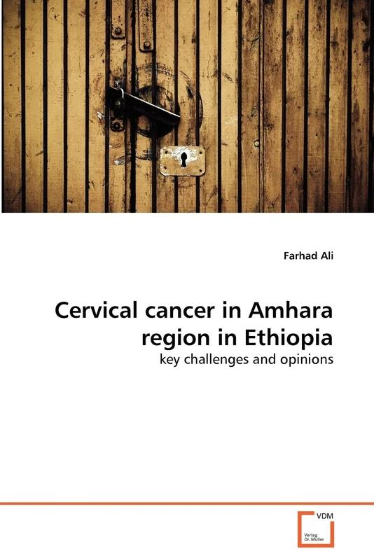 Cervical cancer in Amhara region in Ethiopia: key challenges and opinions