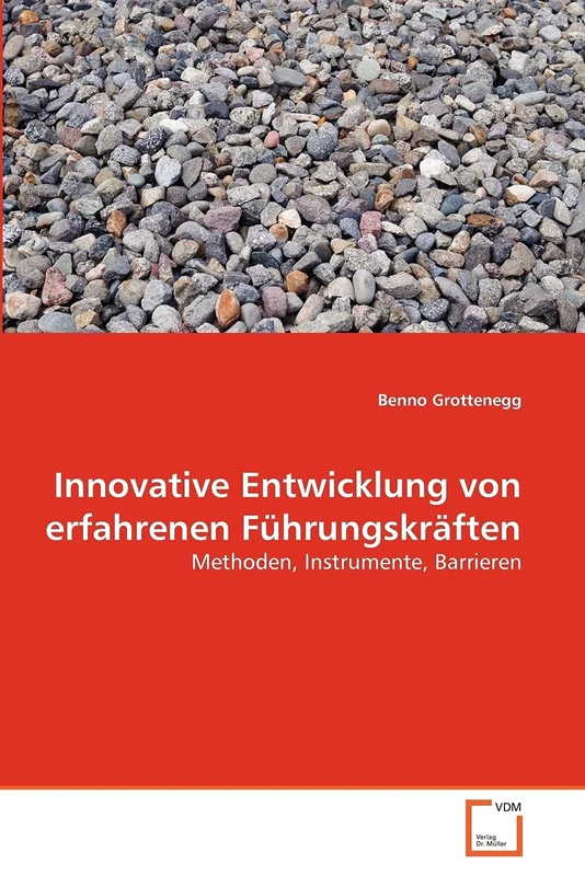 Innovative Entwicklung von erfahrenen Führungskräften: Methoden, Instrumente, Barrieren