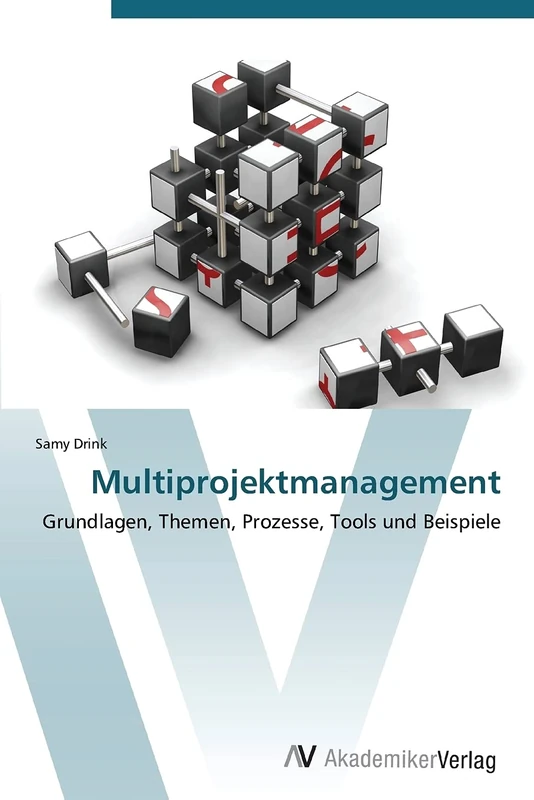 Multiprojektmanagement: Grundlagen, Themen, Prozesse, Tools und Beispiele