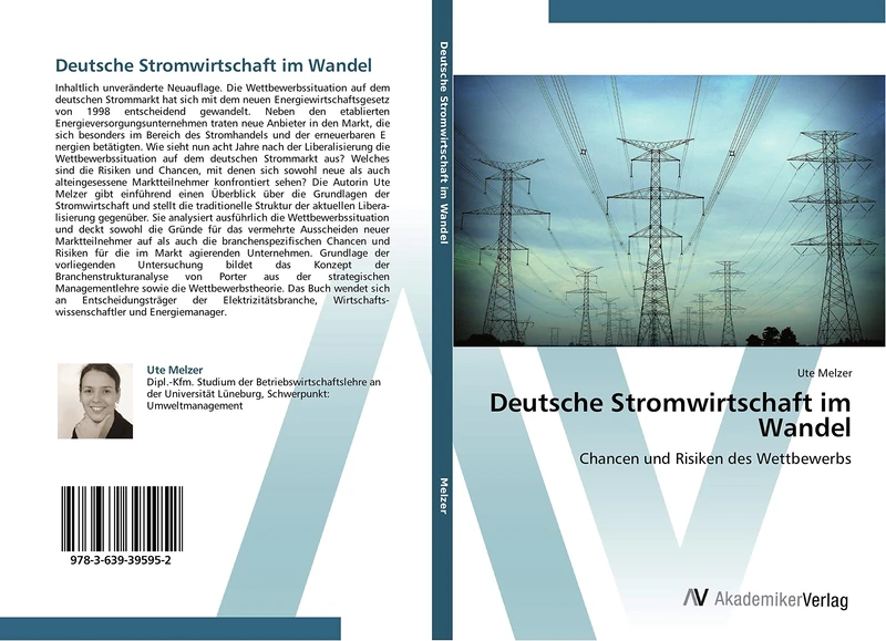 Deutsche Stromwirtschaft im Wandel: Chancen und Risiken des Wettbewerbs - Image 1
