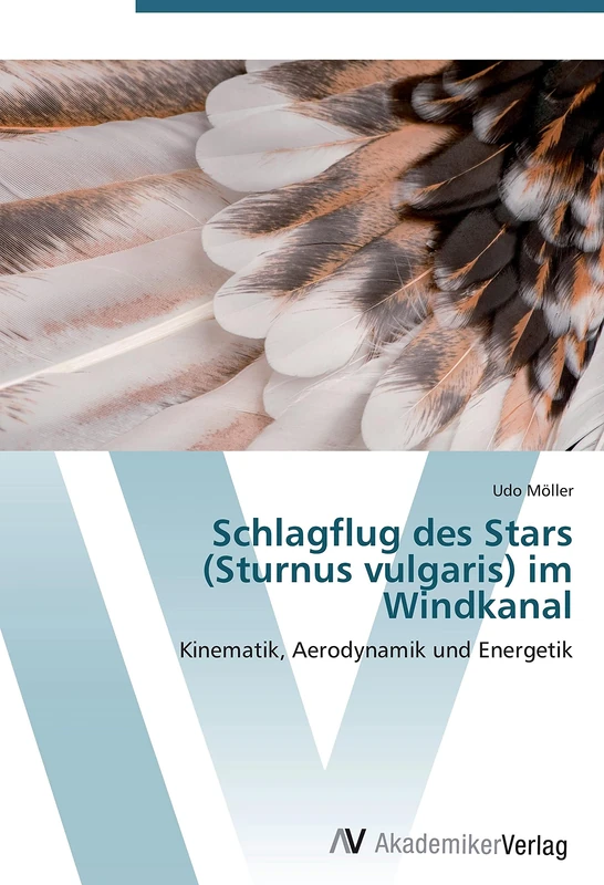 Schlagflug des Stars (Sturnus vulgaris) im Windkanal: Kinematik, Aerodynamik und Energetik