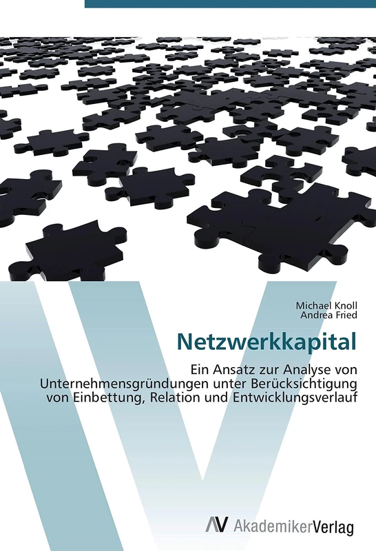 Netzwerkkapital: Ein Ansatz zur Analyse von Unternehmensgründungen unter Berücksichtigung von Einbettung, Relation und Entwicklungsverlauf - Image 1