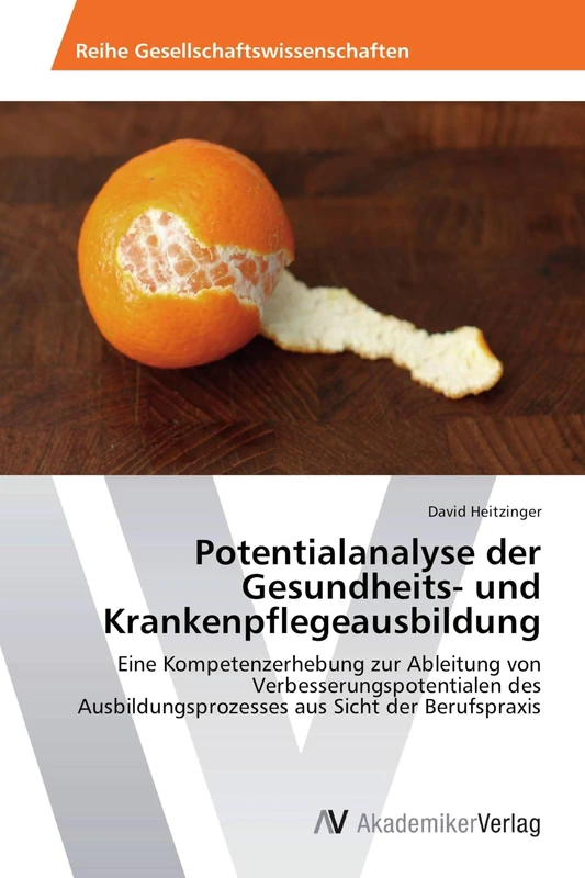 Potentialanalyse der Gesundheits- und Krankenpflegeausbildung: Eine Kompetenzerhebung zur Ableitung von Verbesserungspotentialen des Ausbildungsprozesses aus Sicht der Berufspraxis