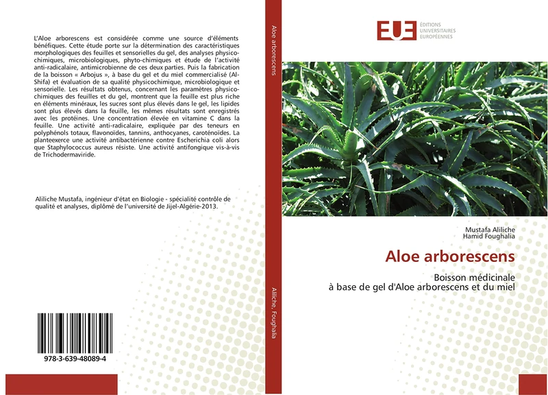 Aloe arborescens: Boisson médicinale à base de gel d'Aloe arborescens et du miel