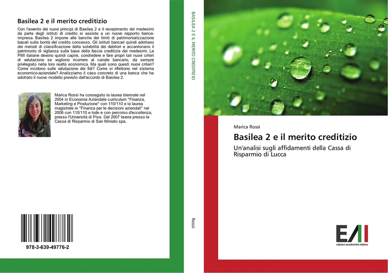 Basilea 2 e il merito creditizio: Un'analisi sugli affidamenti della Cassa di Risparmio di Lucca