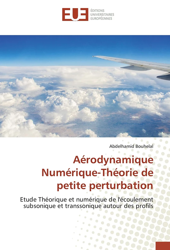 Aérodynamique Numérique-Théorie de petite perturbation: Etude Théorique et numérique de l'écoulement subsonique et transsonique autour des profils - Image 1