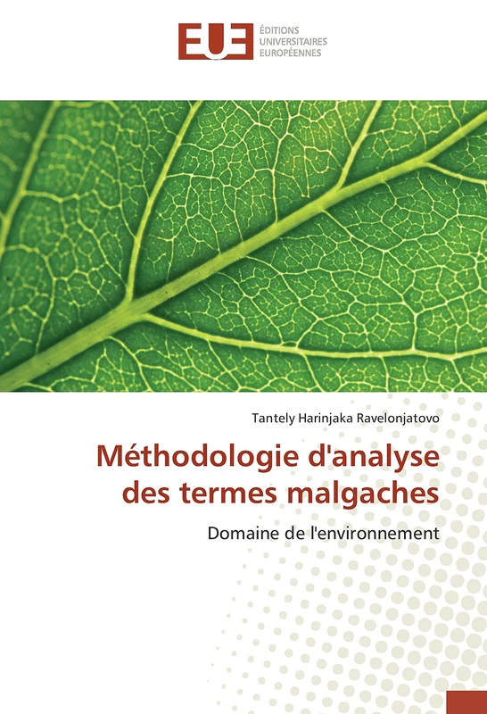 Méthodologie d'analyse des termes malgaches: Domaine de l'environnement