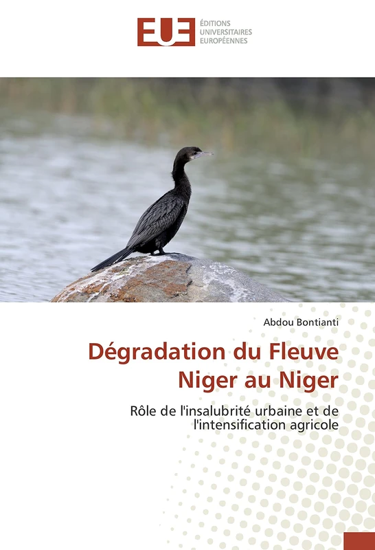 Dégradation du Fleuve Niger au Niger: Rôle de l'insalubrité urbaine et de l'intensification agricole - Image 1