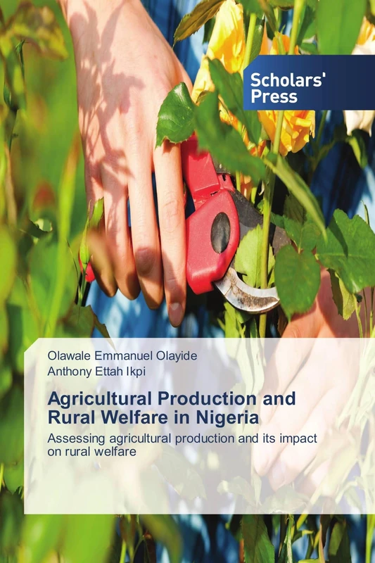 Agricultural Production and Rural Welfare in Nigeria: Assessing agricultural production and its impact on rural welfare