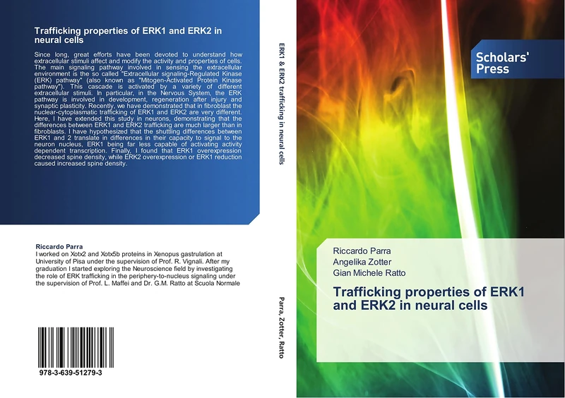 Trafficking properties of ERK1 and ERK2 in neural cells