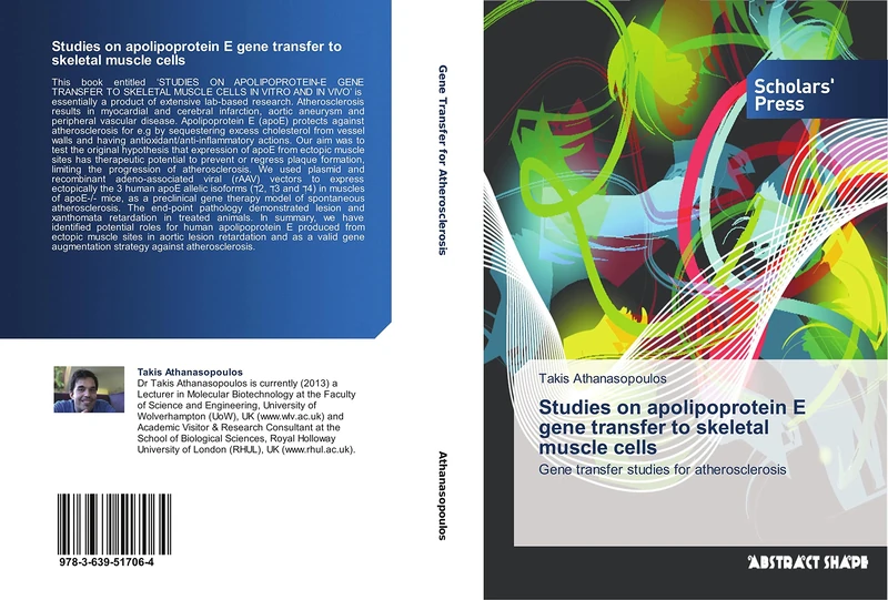 Studies on apolipoprotein E gene transfer to skeletal muscle cells: Gene transfer studies for atherosclerosis