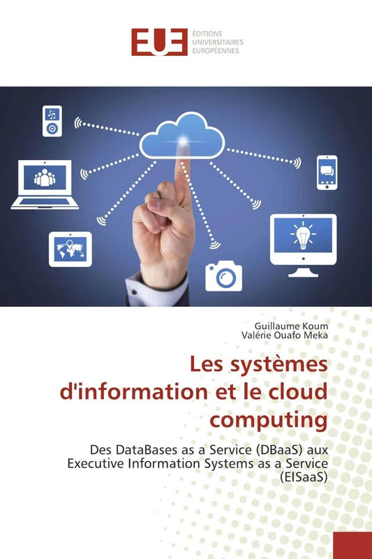 Les systèmes d'information et le cloud computing: Des DataBases as a Service (DBaaS) aux Executive Information Systems as a Service (EISaaS) - Image 1