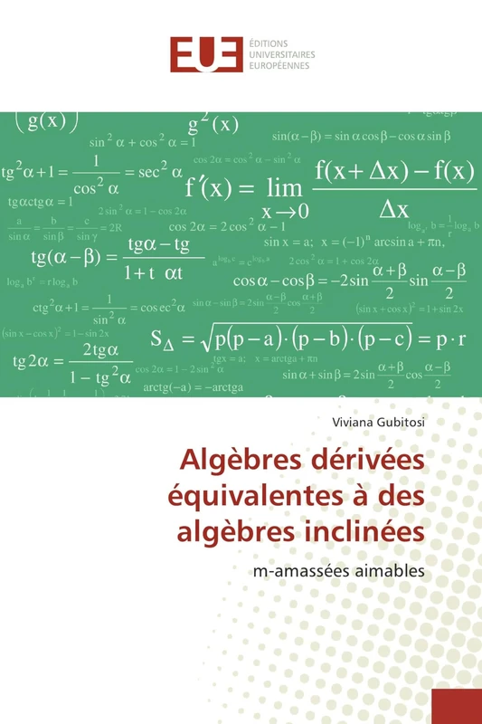 Algèbres dérivées équivalentes à des algèbres inclinées: m-amassées aimables - Image 1