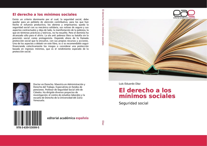 El derecho a los mínimos sociales: Seguridad social