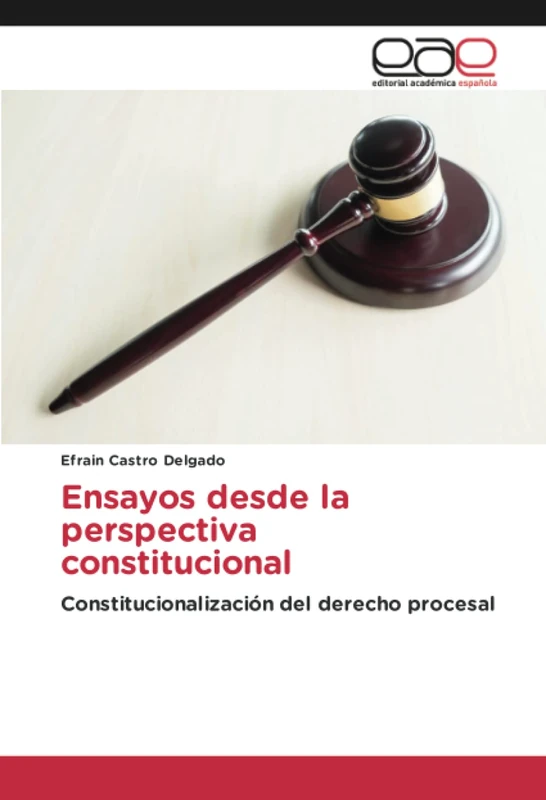 Ensayos desde la perspectiva constitucional: Constitucionalización del derecho procesal