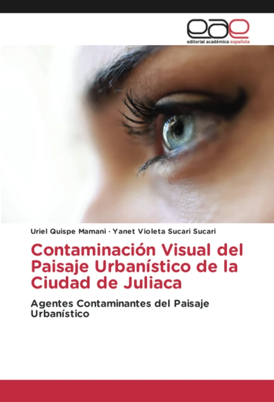 Contaminación Visual del Paisaje Urbanístico de la Ciudad de Juliaca: Agentes Contaminantes del Paisaje Urbanístico - Image 1