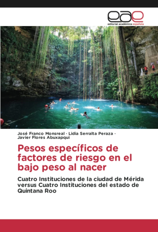 Pesos específicos de factores de riesgo en el bajo peso al nacer: Cuatro Instituciones de la ciudad de Mérida versus Cuatro Instituciones del estado de Quintana Roo - Image 1