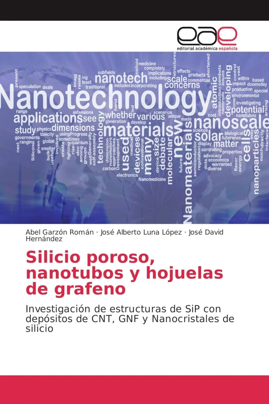Silicio poroso, nanotubos y hojuelas de grafeno: Investigación de estructuras de SiP con depósitos de CNT, GNF y Nanocristales de silicio - Image 1