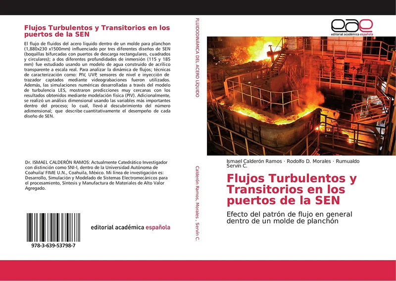 Flujos Turbulentos y Transitorios en los puertos de la SEN: Efecto del patrón de flujo en general dentro de un molde de planchón