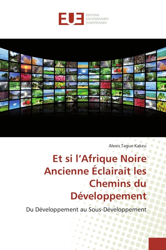 Et si l’Afrique Noire Ancienne Éclairait les Chemins du Développement: Du Développement au Sous-Développement