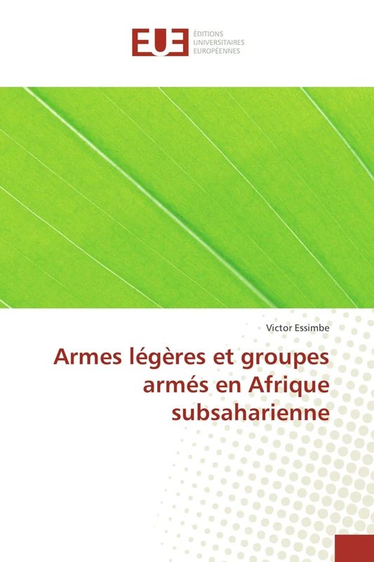 Armes légères et groupes armés en Afrique subsaharienne