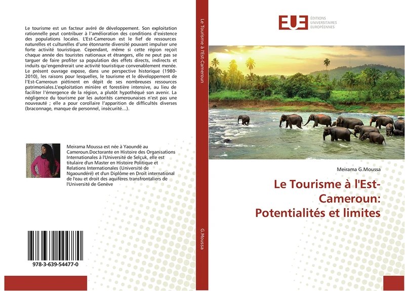 Le Tourisme à l'Est-Cameroun: Potentialités et limites - Image 1