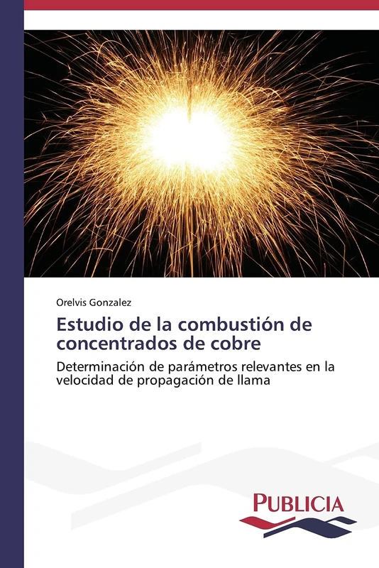 Estudio de la combustión de concentrados de cobre: Determinación de parámetros relevantes en la velocidad de propagación de llama - Image 1